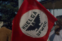 UFW Huelga Flag