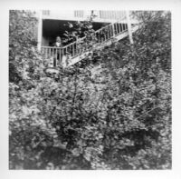 Jose standing on stairs among large bushes