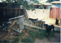 Backyard construction with dog
