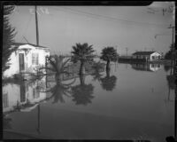 Homes and palm trees underwater after flooding in the Venice area, circa January 1, 1934.
