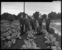 James J. Boyle, Rex Thomson, Lew Harwood, C.C. Talbot, and Culbert Olson stand in a field used as county food cooperative, Los Angeles, 1930s