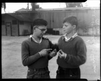 Boys compare marbles at a marble tournament, Los Angeles, 1935