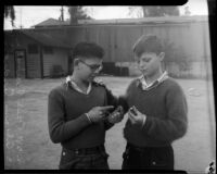 Boys compare marbles at a marble tournament, Los Angeles, 1935