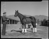 Singing Wood and trainer, circa 1936
