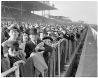 Crowd at Derby Day at the Santa Anita racetrack, February 22, 1937.