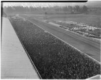 Crowd at Derby Day at the Santa Anita racetrack, February 22, 1937.