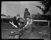 Gilbert L. Skutt, Mabel V. Socha, and Roy T. Green, members of a rehabilitation group for landslide damage in Elysian Park, Los Angeles, November 1937