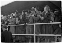 Spectators watch a race on opening day of Santa Anita's fourth horse racing season, Arcadia, December 25, 1937