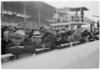 Spectators watch a race on opening day of Santa Anita's fourth horse racing season, Arcadia, December 25, 1937