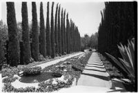 Tree-lined roadway on the estate of film comedian Harold Lloyd and his wife Mildred, Beverly Hills, 1927