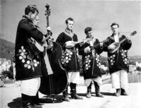 Croatian tamburica ensemble of young men