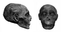 Mummified Head of Thutmose III