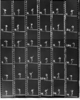 Proof sheet of Indian classical dance