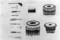 Varieties of drum heads
