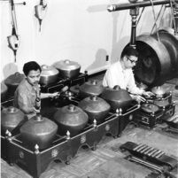 Two individuals on colotomic instruments