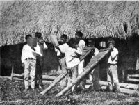Photo of Cavina Indians playing bark trumpets