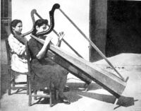 Two girls playing the Paraguayan harp