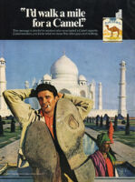 AO 5095-Taj Camel 1969