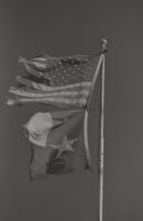 U.S. & Texas Flag Series