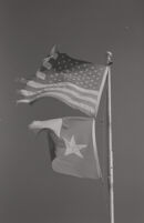 U.S. & Texas Flag Series