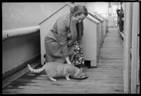 Woman feeding a cat on the S.S. Mariposa, Los Angeles