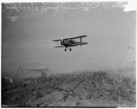 Douglas 038 plane flying through a gas smoke screen during a military show for National Defense Week, Los Angeles, 1930