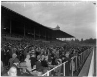 Spectators in the stands on a rainy Derby Day at Santa Anita Park, Arcadia, February 22, 1940