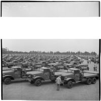 Lot full of vehicles at the War Assets Administration's surplus truck and trailer sale, Port Hueneme, May 1946