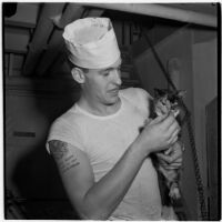 Sailor holds a kitten during the Army-Navy maneuvers that took place off the coast of Southern California in late 1946