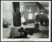 Film still from Elephant Walk