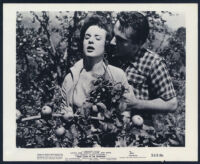 Jean Peters and Roassano Brazzi in Three Coins in the Fountain