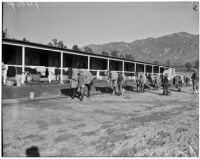 Jockeys walk with horses at Whitney Stables in Santa Anita Park, Arcadia, 1930s