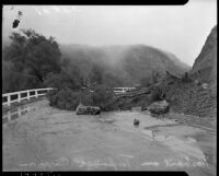 Fallen tree on Pacific Coast Highway after a landslide in Topanga Canyon, Los Angeles, 1930s