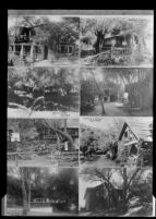 Eight views of Kneen's Kamp, Topanga, circa 1918-1930