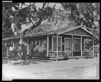 Cottage or cabin in an unidentified mountain or rural location, California, circa 1915-1930