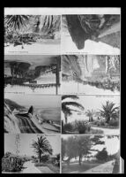 Seven views of Palisades Park in Santa Monica and one view of Castle Rock in Topanga, circa 1918-1926