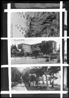 Three views of Santa Monica including the Palisades Park and Miramar Hotel Annex, circa 1915-1925