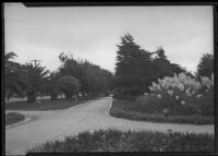 Palisades Park, view towards walkway and garden, Santa Monica, circa 1915-1925