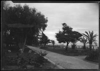 Palisades Park, view towards walkway, garden and amusement pier, Santa Monica, circa 1915-1925