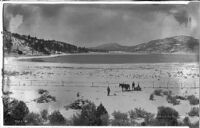 Three men, two horses and a sled on the shore of Baldwin Lake in Big Bear Valley