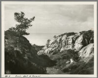 Torrey Pines Reserve, view of canyon and pines with ocean in background, San Diego County, 1931?