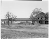 Rancho Los Cerritos, view from south-west of decaying house and grounds, Long Beach, 1930