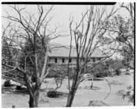 Rancho Los Cerritos, side view of decaying house and grounds, Long Beach, 1930