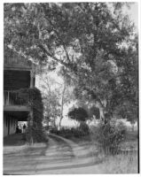 Rancho Los Cerritos, view of decaying house, walkway, and driveway, Long Beach, 1930