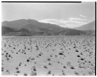 Desert and mountains, Coachella Valley near Salton Sea, 1923