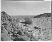Salton Sea with desert, boulders, and shrub in foreground, Coachella Valley, 1923