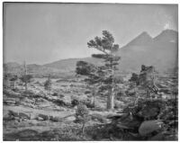 Desolation Valley landscape, Desolation Wilderness, 1924
