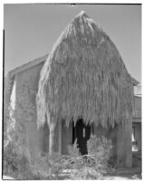Bettye K. Cree studio, exterior view with a palapa shading a doorway, Palm Springs, 1929