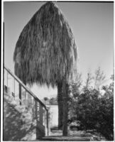 Bettye K. Cree studio, palapa and exterior staircase, Palm Springs, 1930