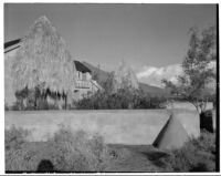 Bettye K. Cree studio, exterior view with palapas, Palm Springs, 1930